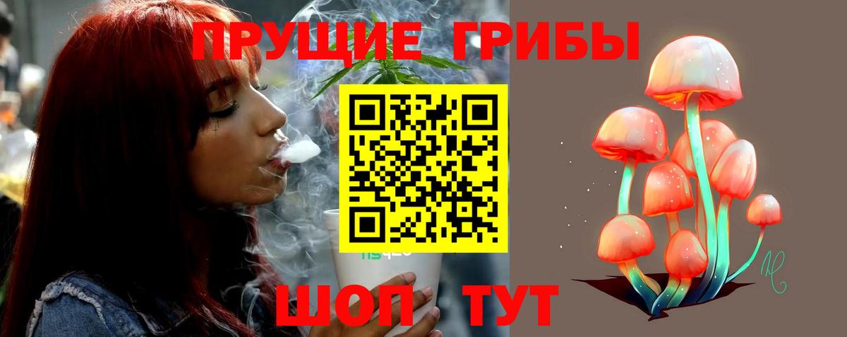 Псилоцибиновые грибы Psilocybe  Псилоцибиновые грибы GOLDEN TEACHER  Шебекино  Вход с VPN 